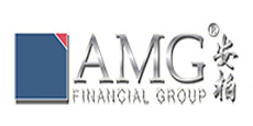 AMG FINANCIAL GROUP LIMITED