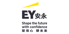 Ernst & Young Accounting company